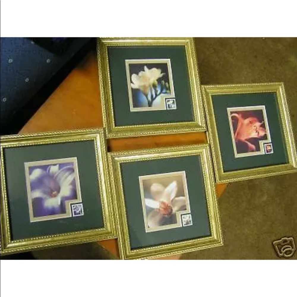 USA 34 cents Stamps-4 Picture Set by Flower